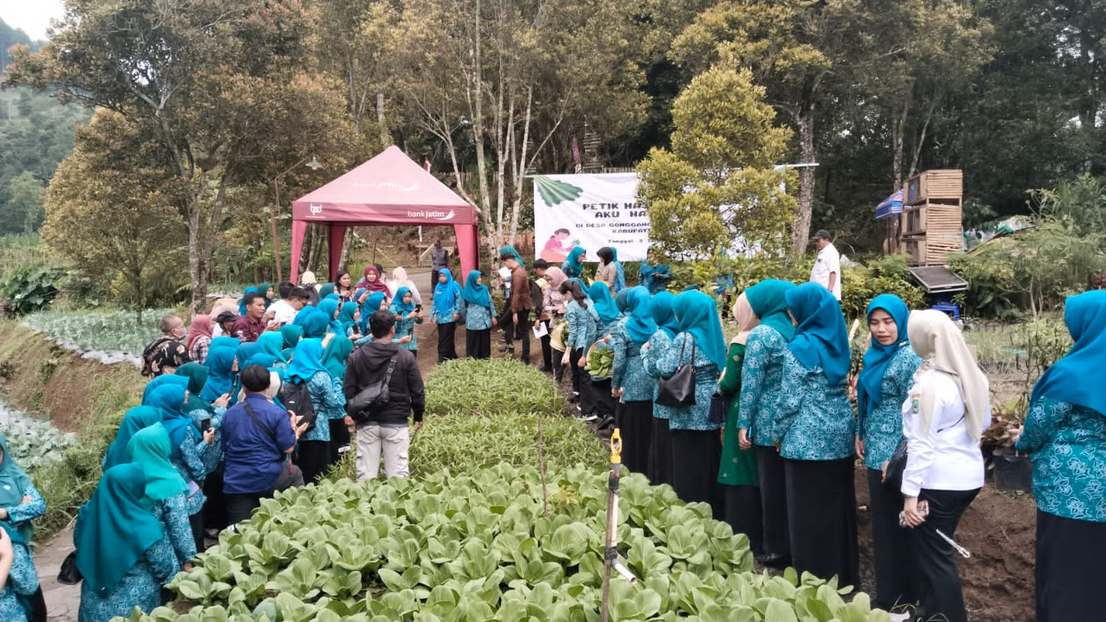 PETIK HASIL KAMPUNG AKU HATINYA PKK BERSAMA IBU ARUMI